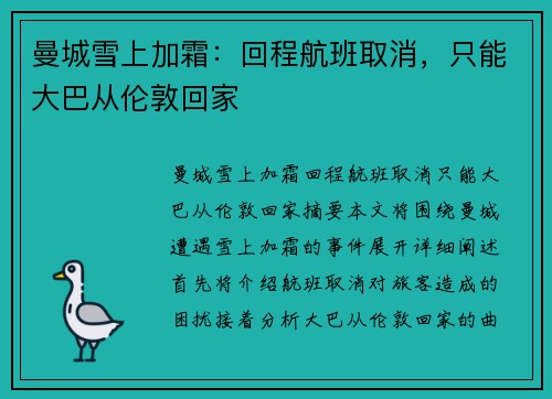曼城雪上加霜：回程航班取消，只能大巴从伦敦回家